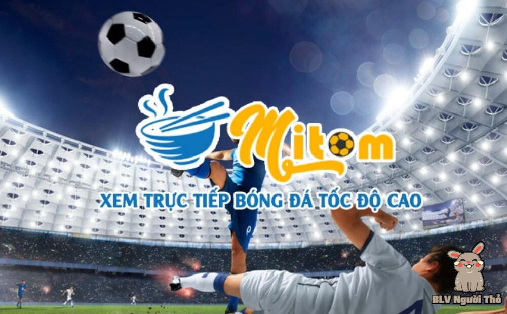 Bạn biết gì về website trực tuyến bóng đá Mitom TV