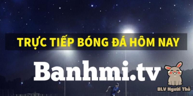 Đội ngũ bình luận viên của Banhmi TV