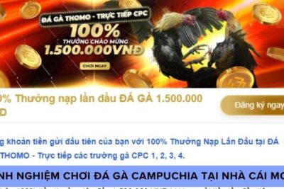 MCW – Đấu Trường Đá Gà Trực Tiếp Dành Cho Những Người Đam Mê