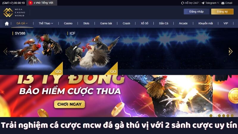 Trải nghiệm cá cược mcw đá gà thú vị với 2 sảnh cược uy tín