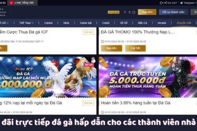 Trực Tiếp Đá Gà – Hình Thức Cá Cược Tuyệt Vời Tại Web Đá Gà MCW