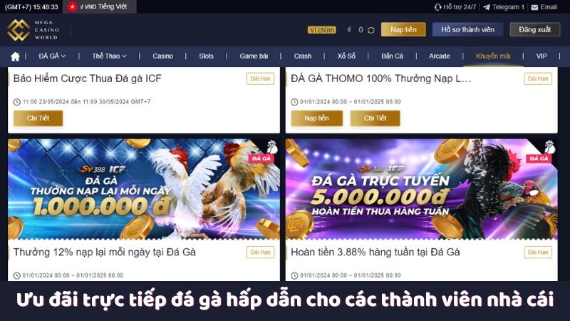 Ưu đãi trực tiếp đá gà hấp dẫn cho các thành viên nhà cái