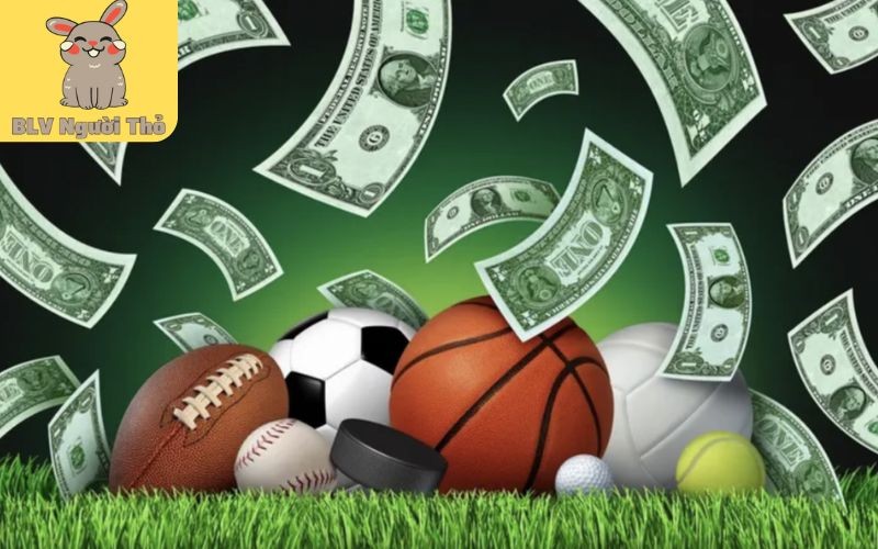 ALO789 mở cược với tỷ lệ cạnh tranh nhất thị trường